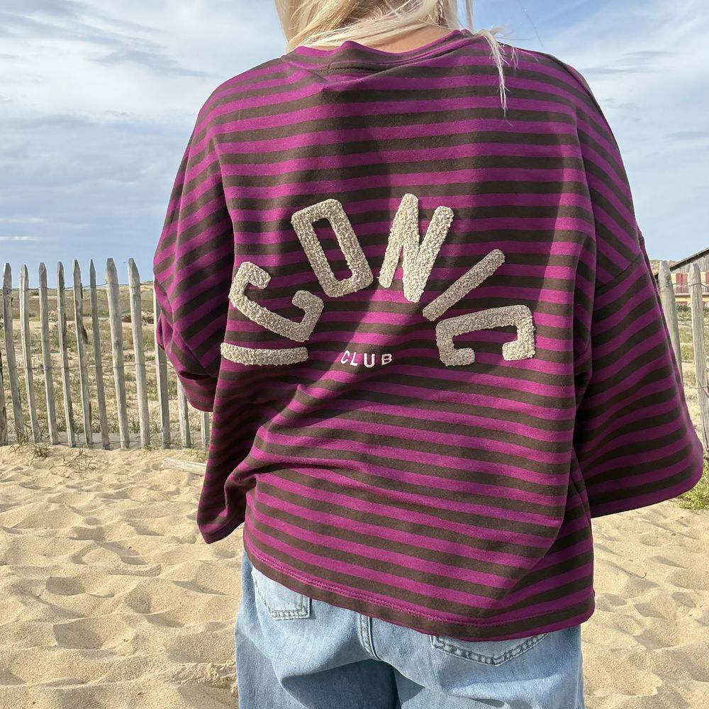 Broderie iconic taupe dans le dos du sweat marinière, gros plan